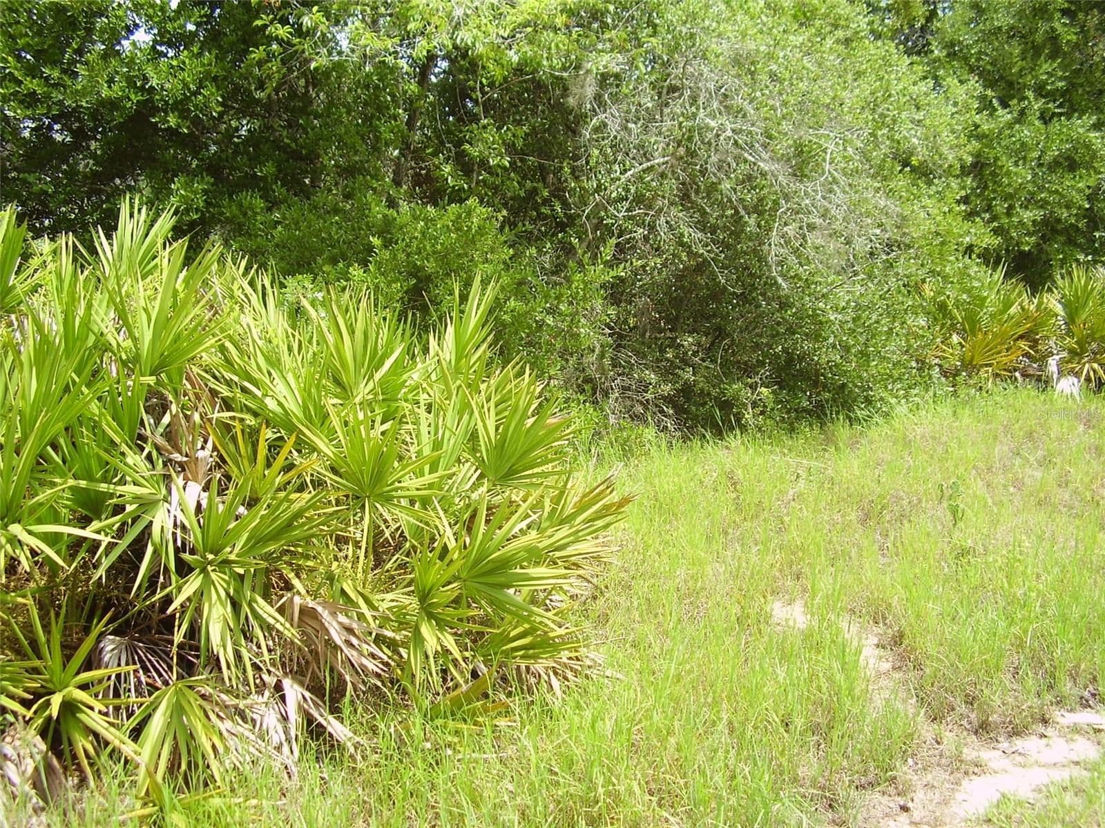 1457 KISSIMMEE, Kissimmee, FL 34759
