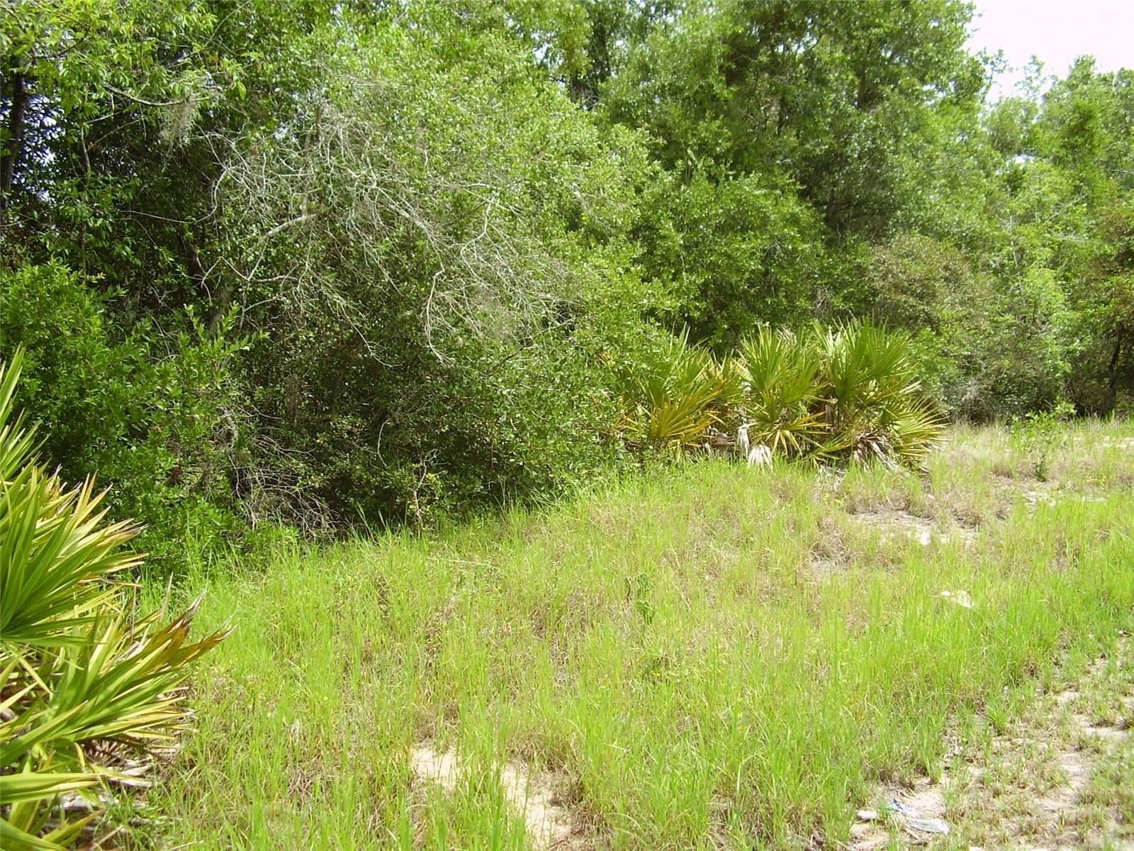 1457 KISSIMMEE, Kissimmee, FL 34759 2