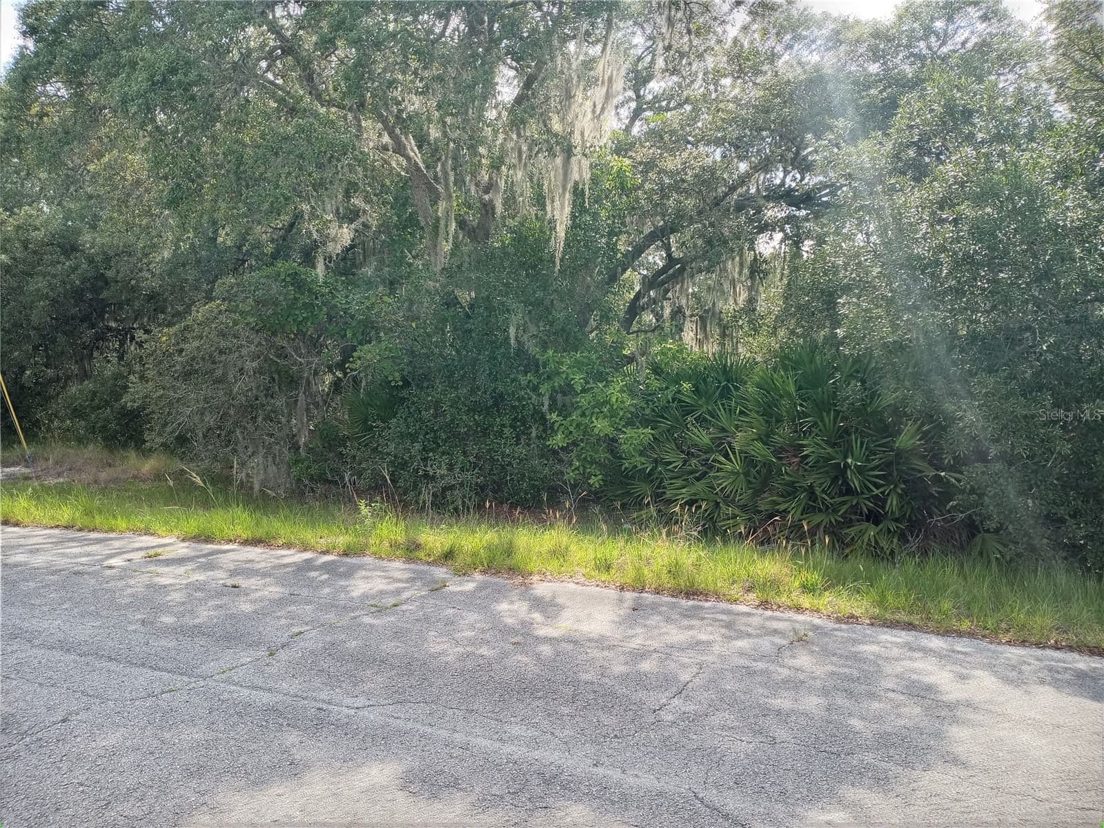 1417 PUNTA GORDA Court, Kissimmee, FL 34759