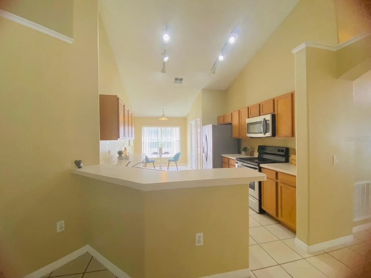 1150 LIBERTY HALL Drive, Kissimmee, FL 34746 3