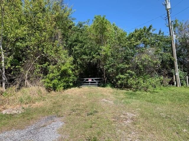 1290 CINDER Lane, Kissimmee, FL 34744 2