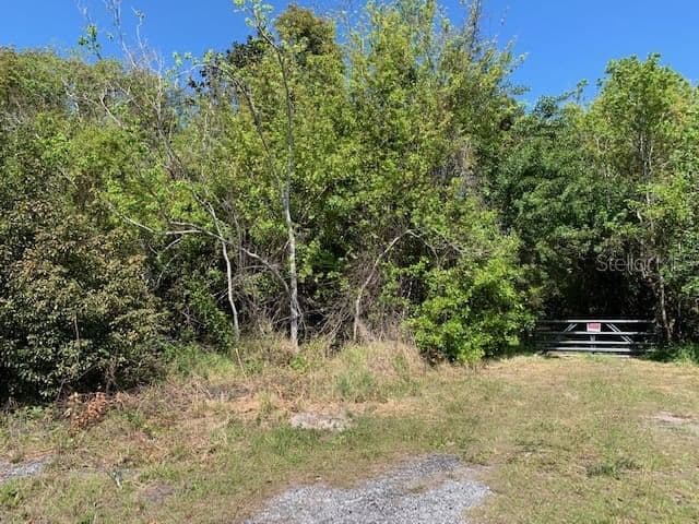 1290 CINDER Lane, Kissimmee, FL 34744 3