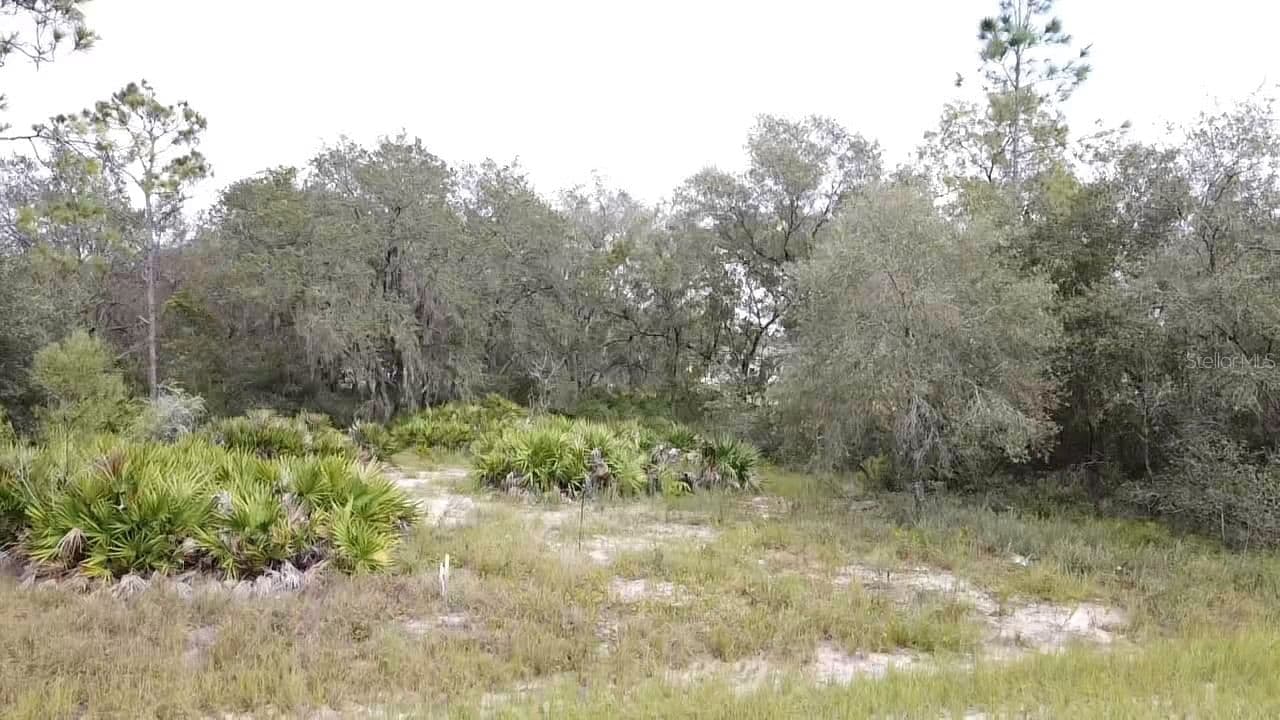 1405 SARASOTA 4