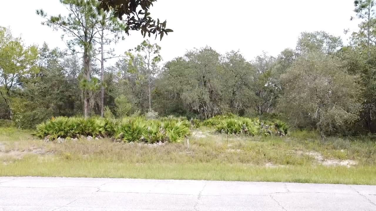 1405 SARASOTA 5