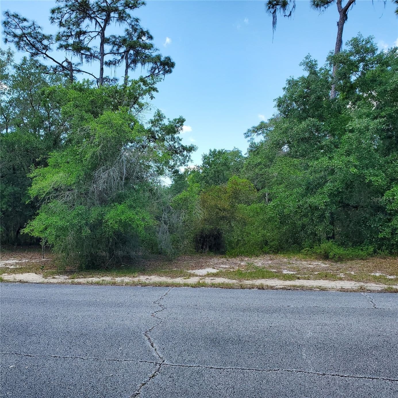 1345 ST AUGUSTINE Court, Kissimmee, FL 34759 3