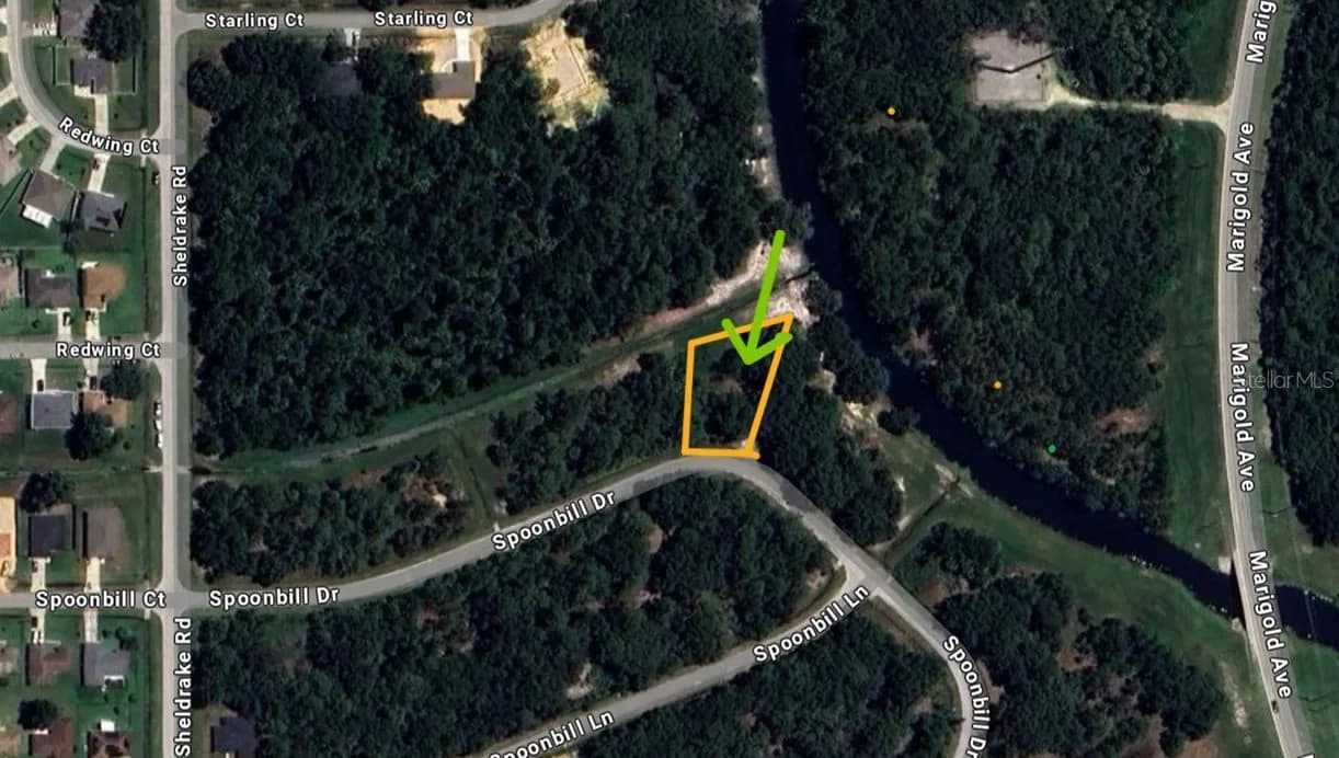 268 SPOONBILL Drive, Kissimmee, FL 34759 2