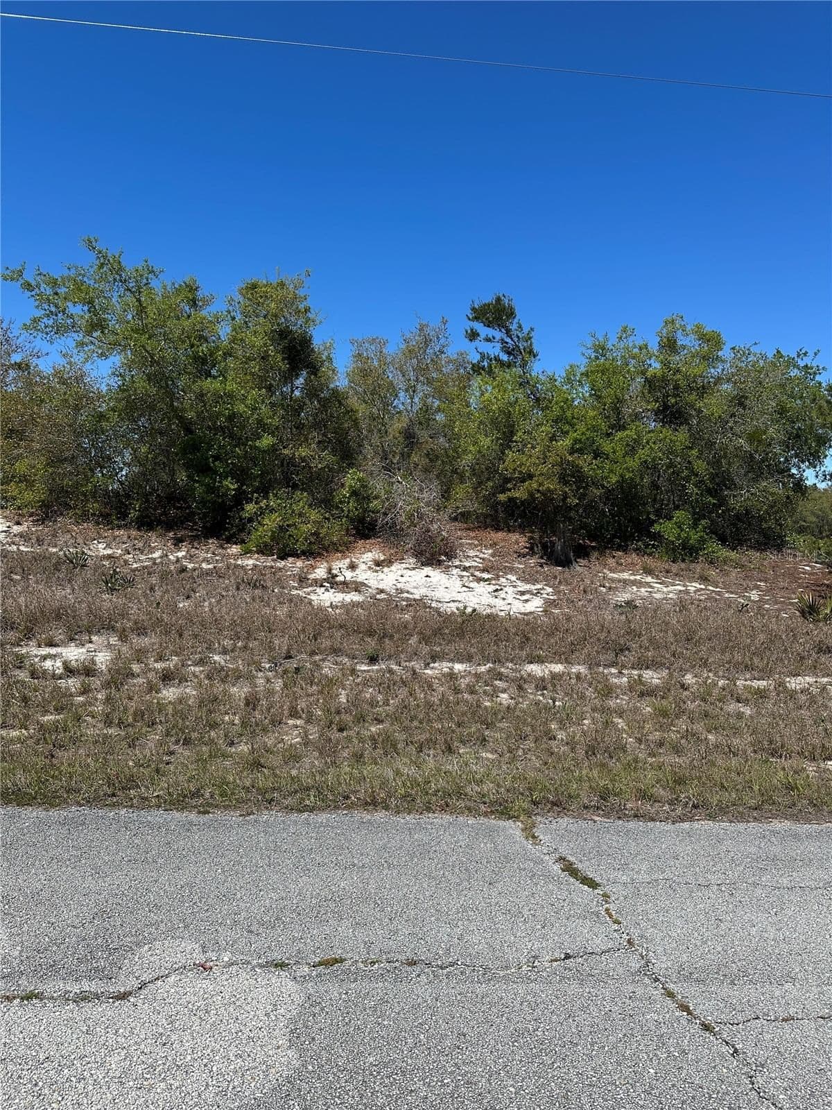 1386 HOMOSASSA Drive, Kissimmee, FL 34759