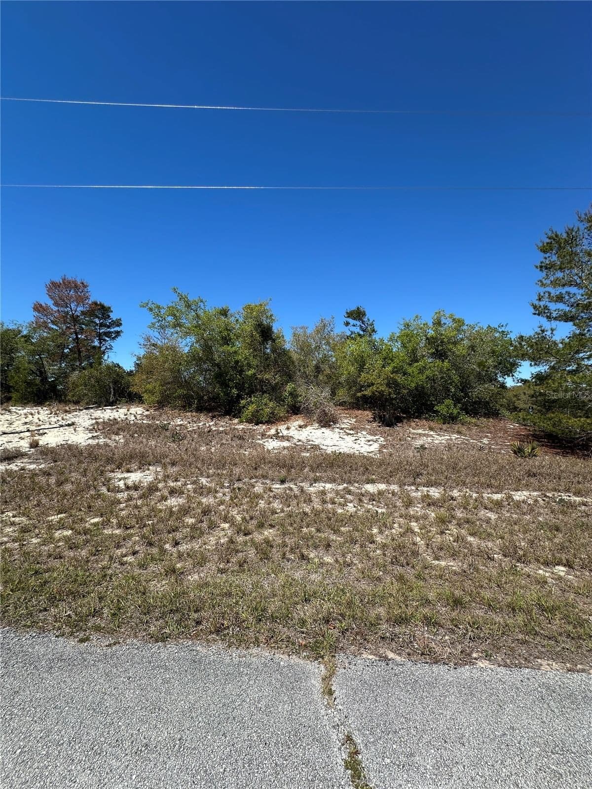 1386 HOMOSASSA Drive, Kissimmee, FL 34759 2