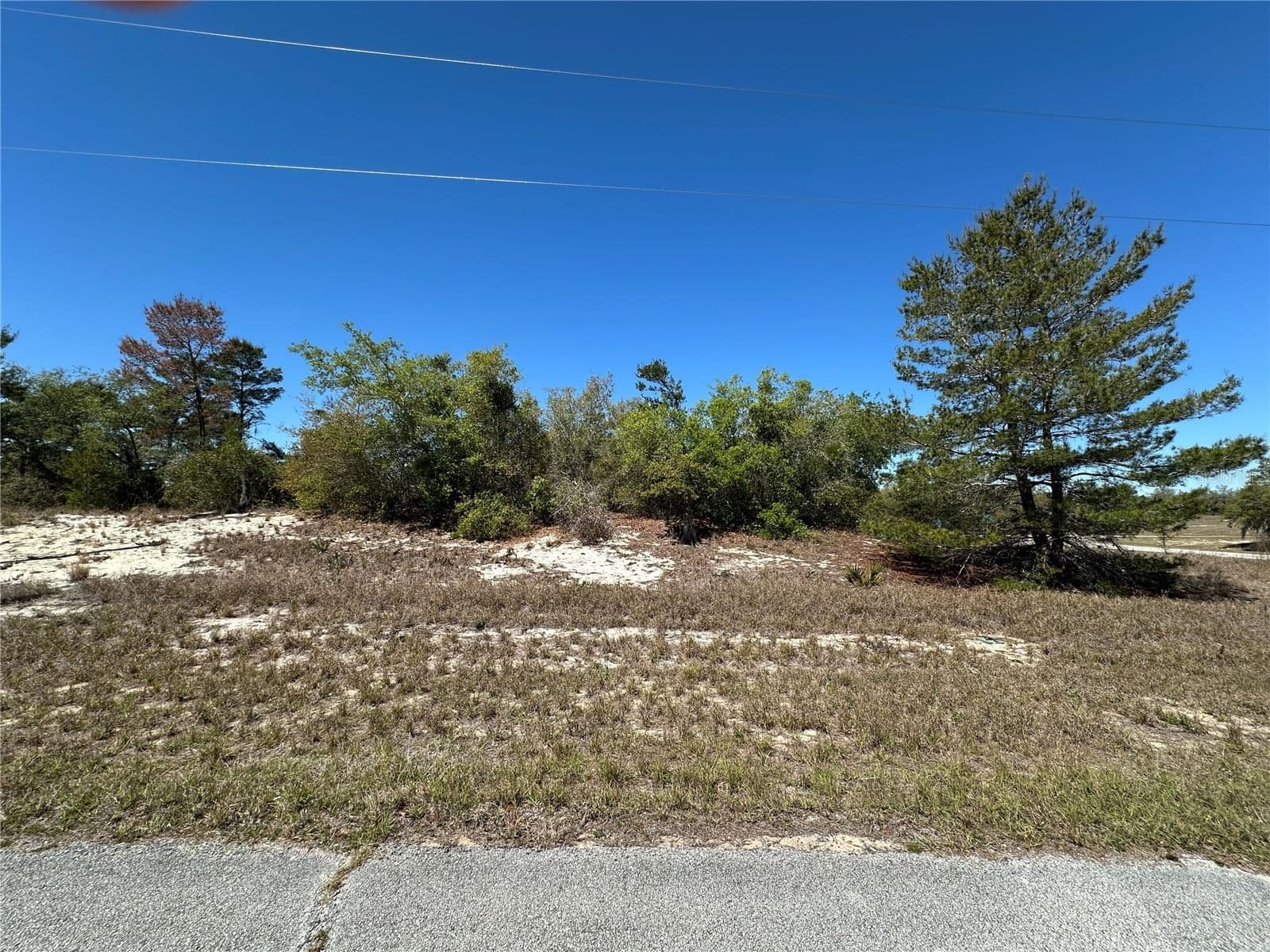 1386 HOMOSASSA Drive, Kissimmee, FL 34759 3