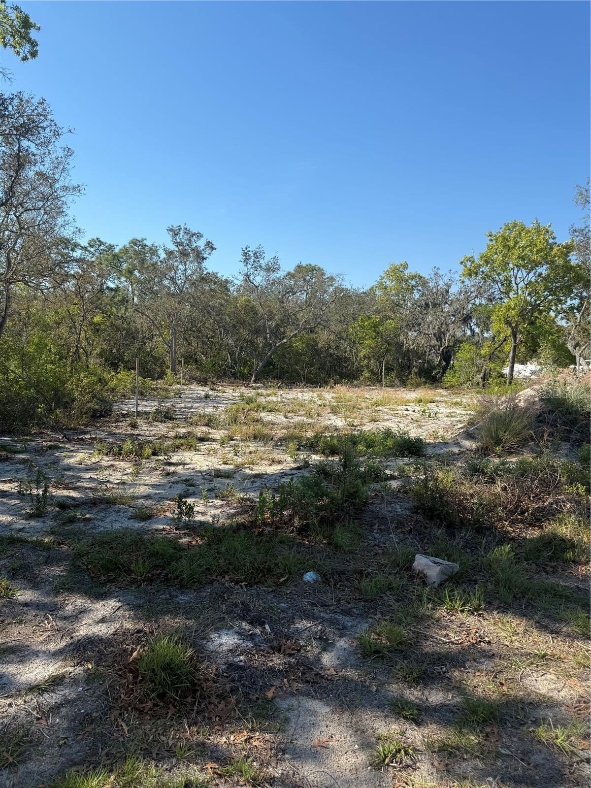 449 NAPLES Court 4
