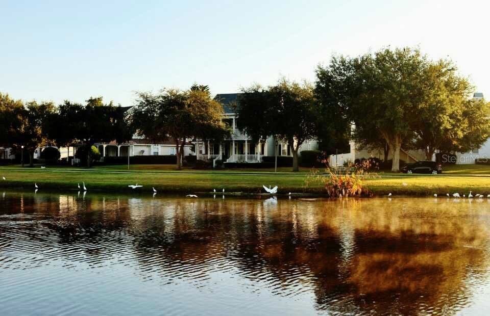 934 WESTPARK 2