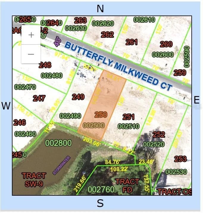 1414 BUTTERFLY MILKWEED 3