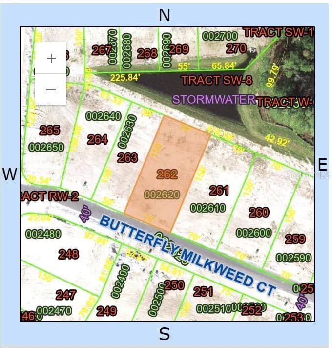 1411 BUTTERFLY MILKWEED 2