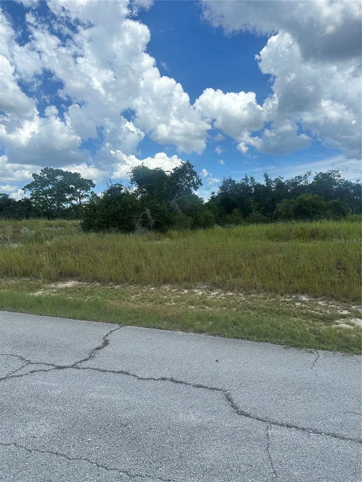 1348 HOMOSASSA Court, Kissimmee, FL 34759 2