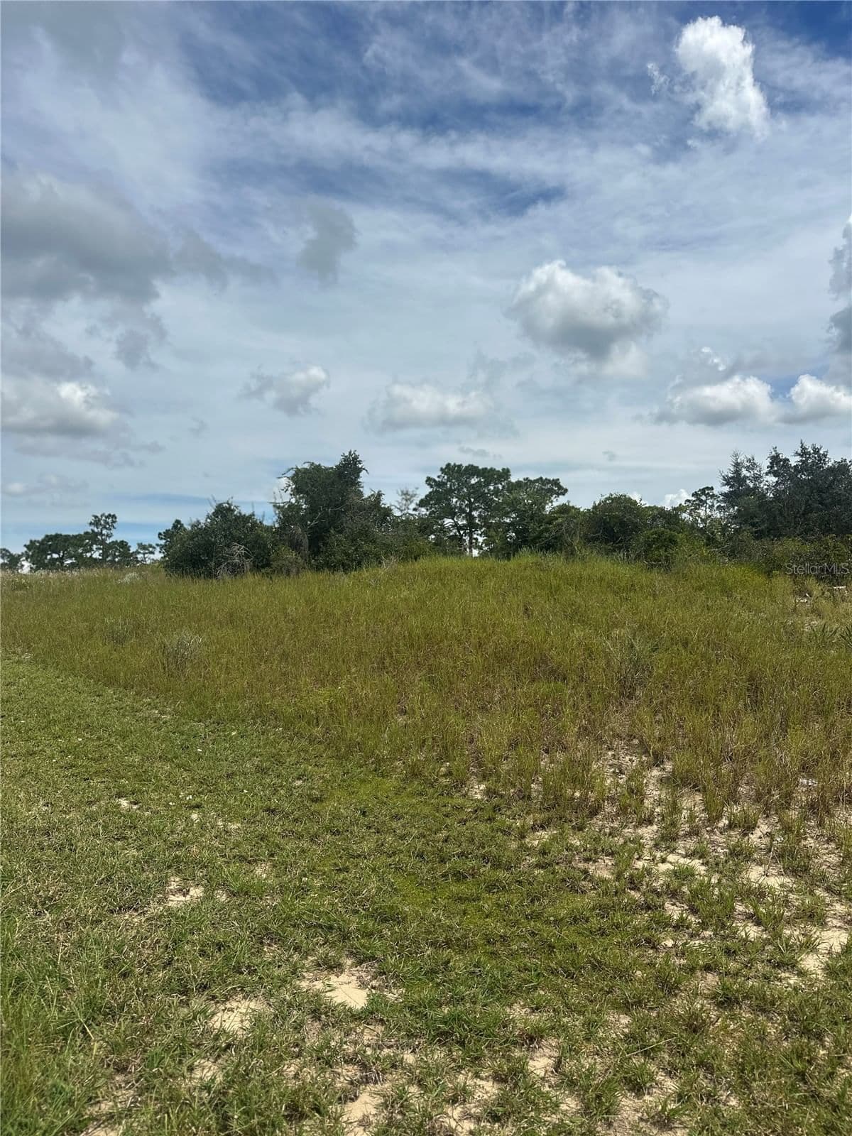 1348 HOMOSASSA Court, Kissimmee, FL 34759