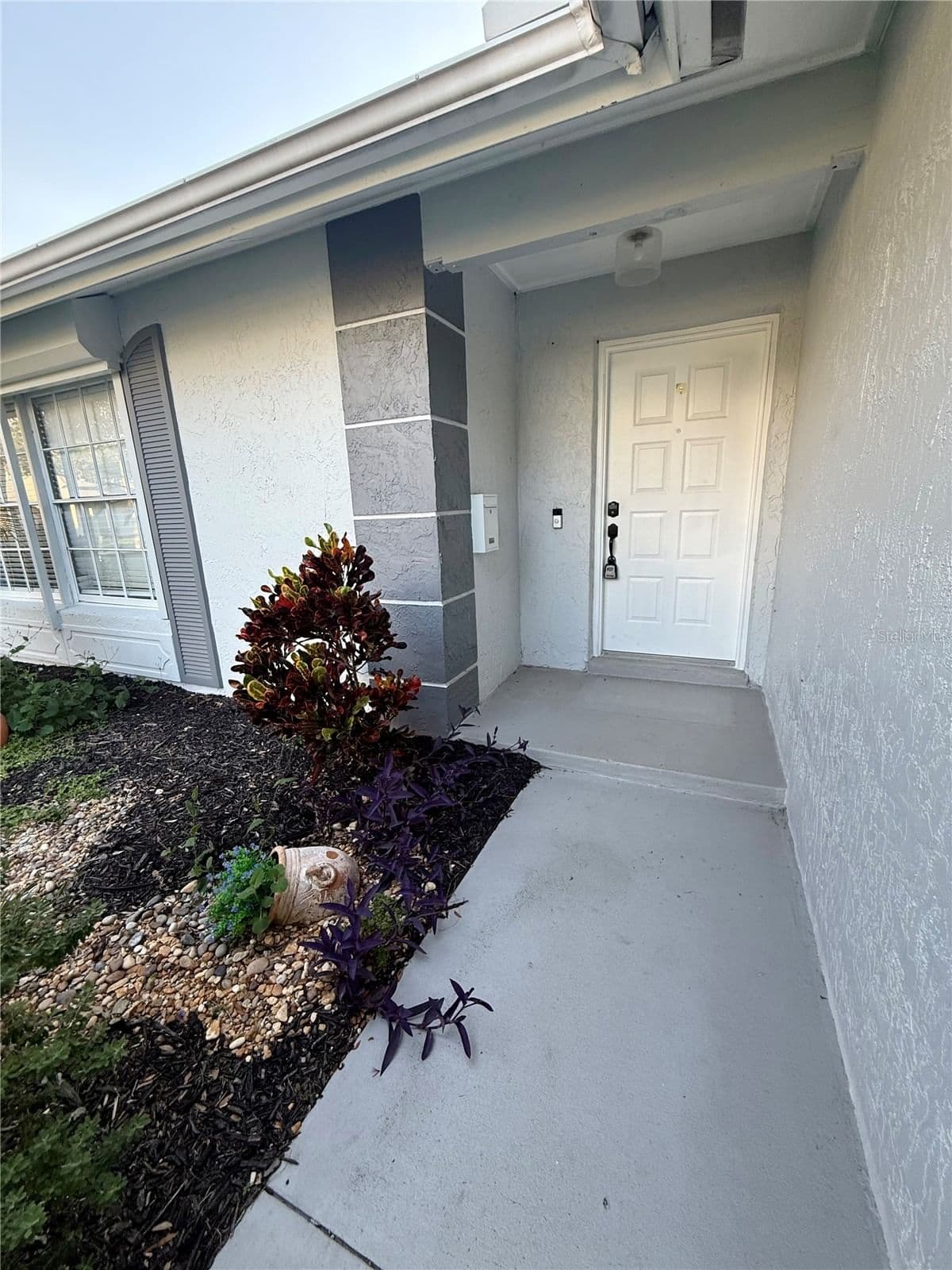 970 AMY RIDGE 5