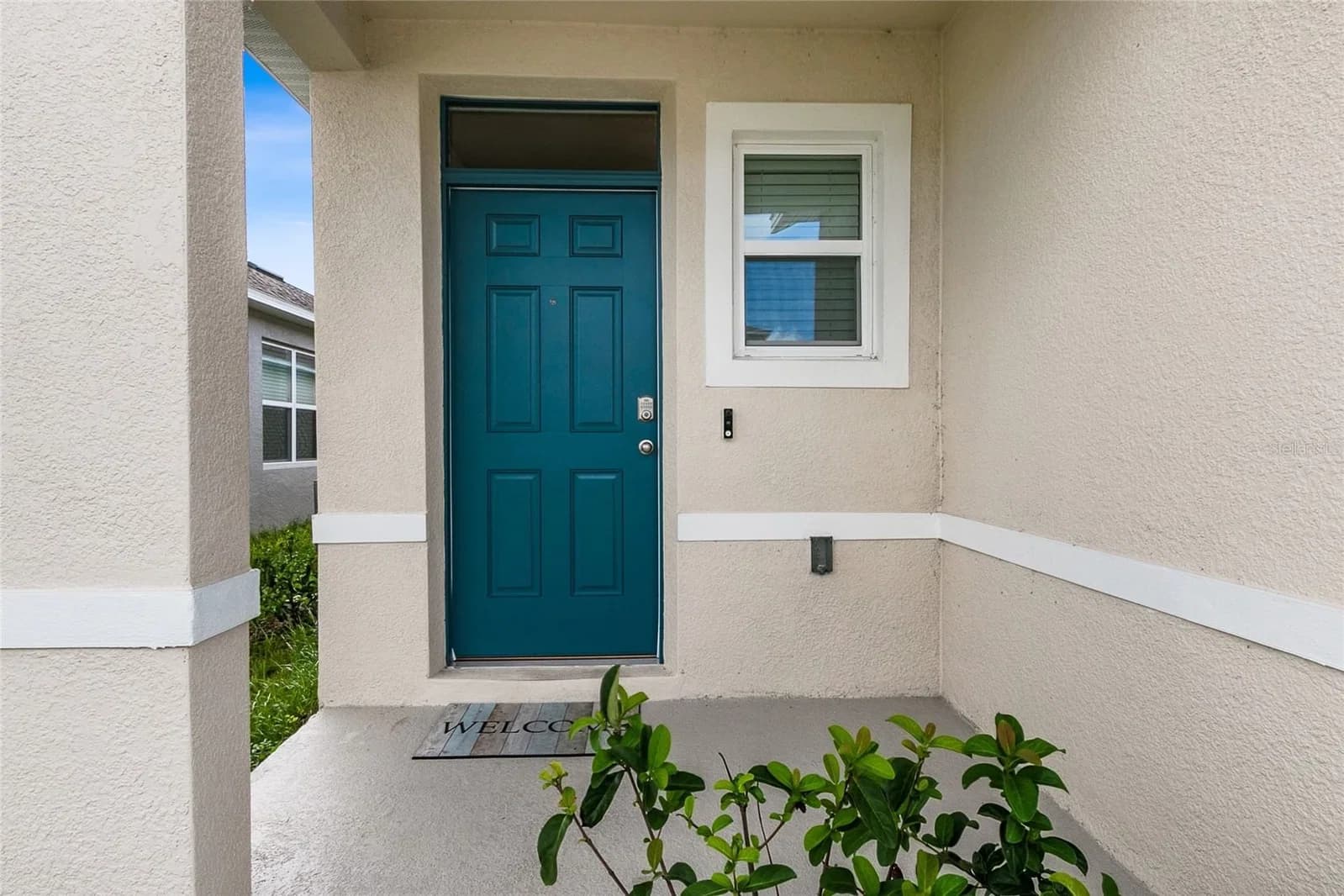 3306 PINE LILY 2