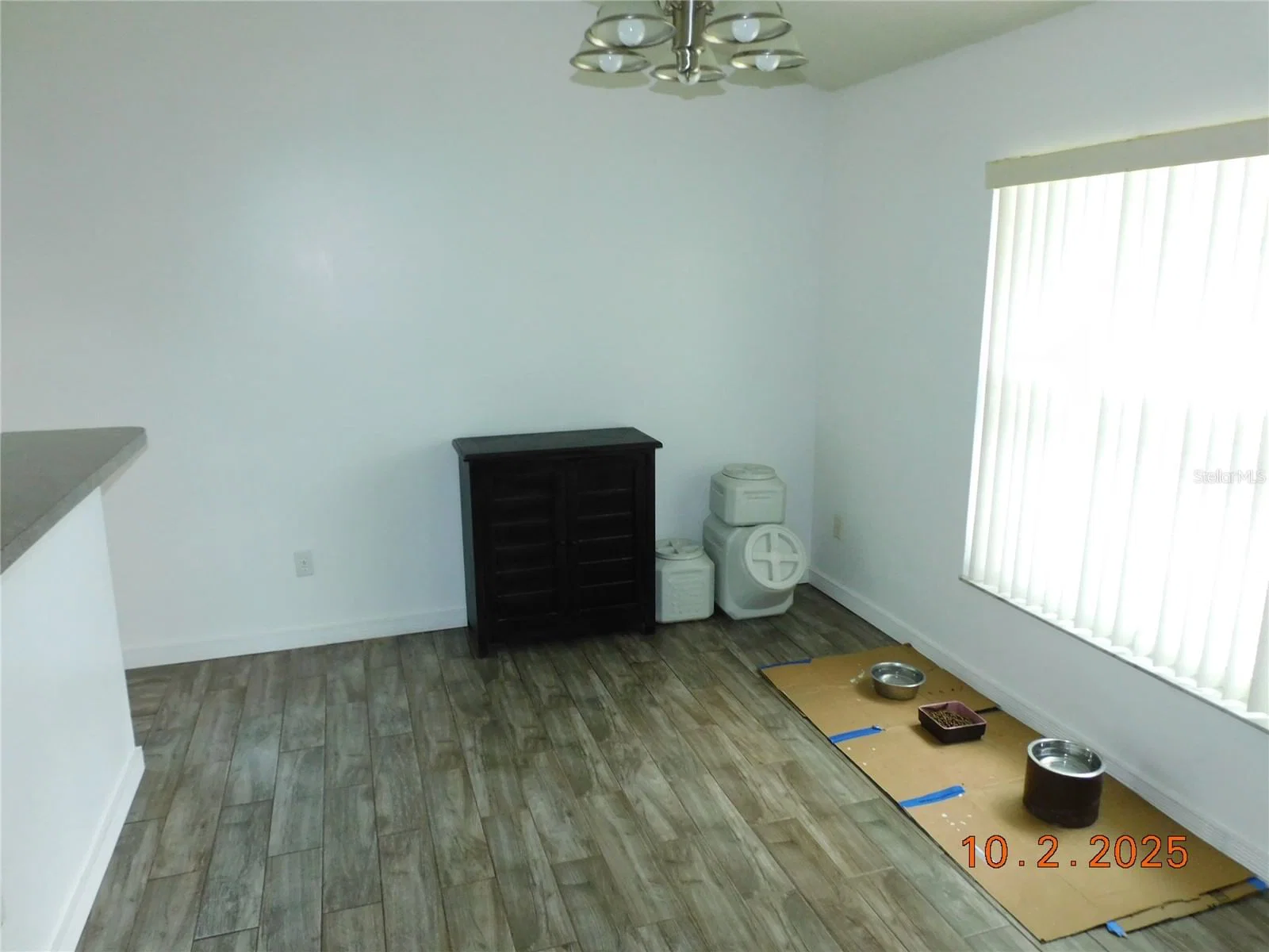 2542 CAMPHORWOOD 4