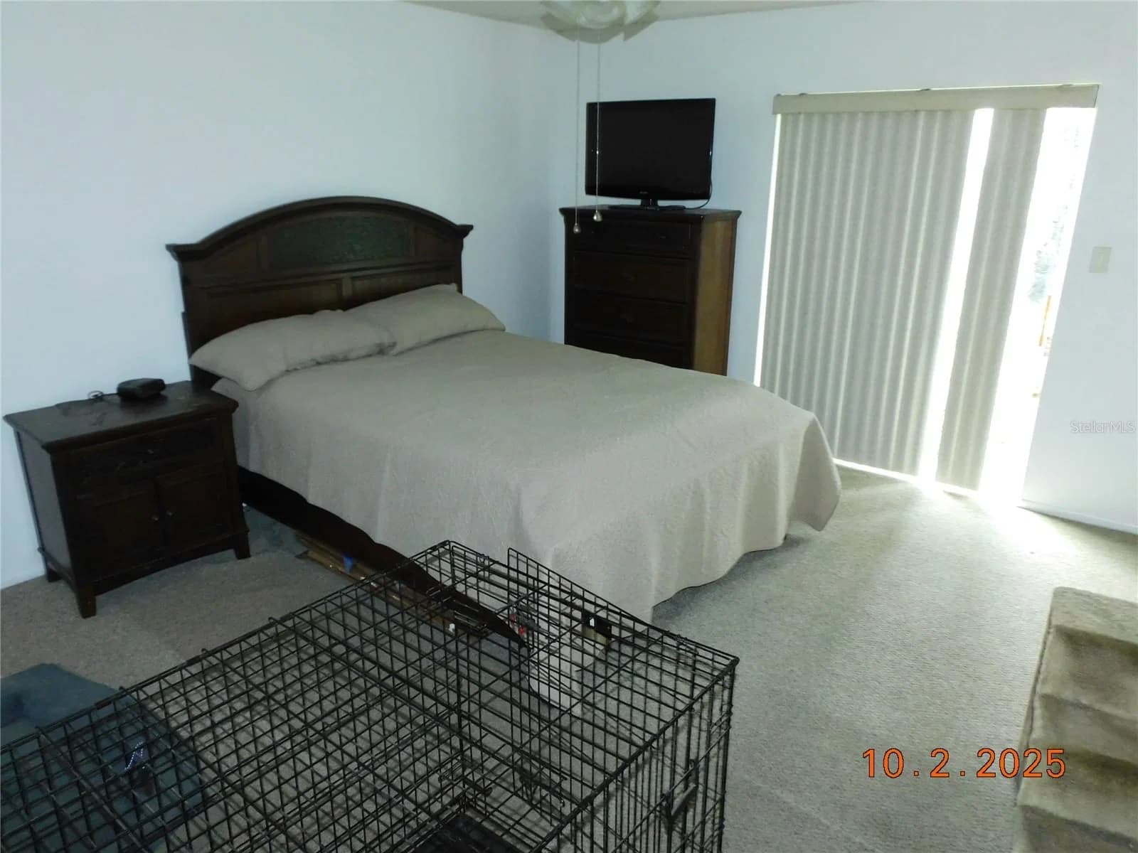 2542 CAMPHORWOOD 5
