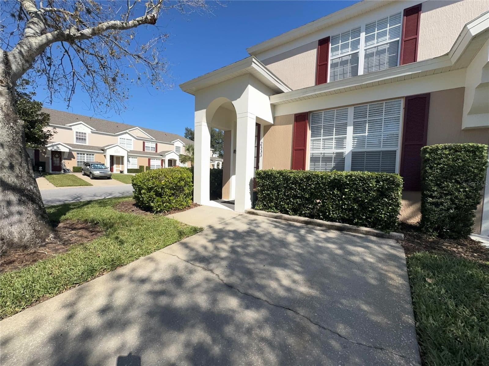 2333 SILVER PALM 4