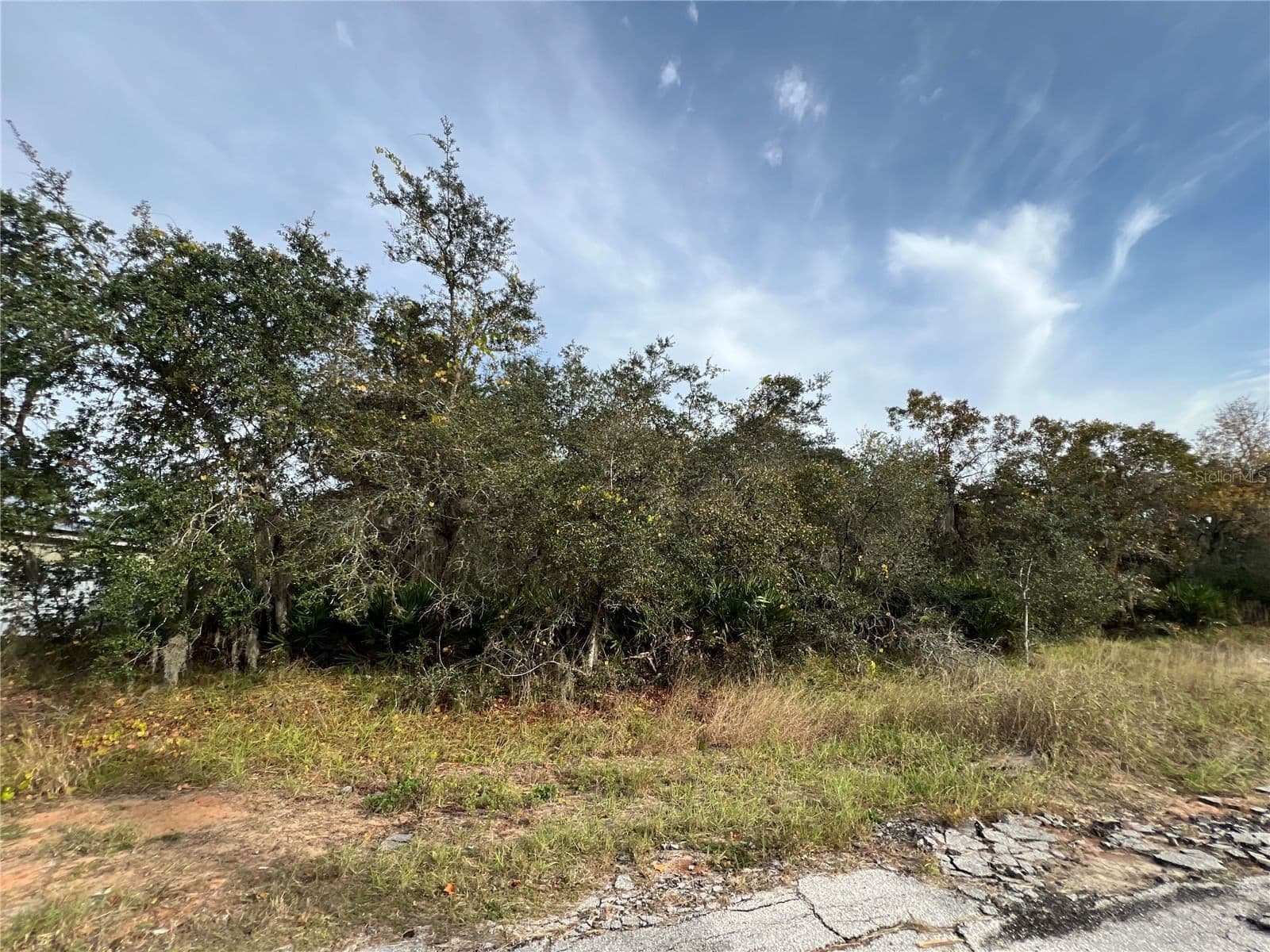 1205 ALAFIA, Kissimmee, FL 34759