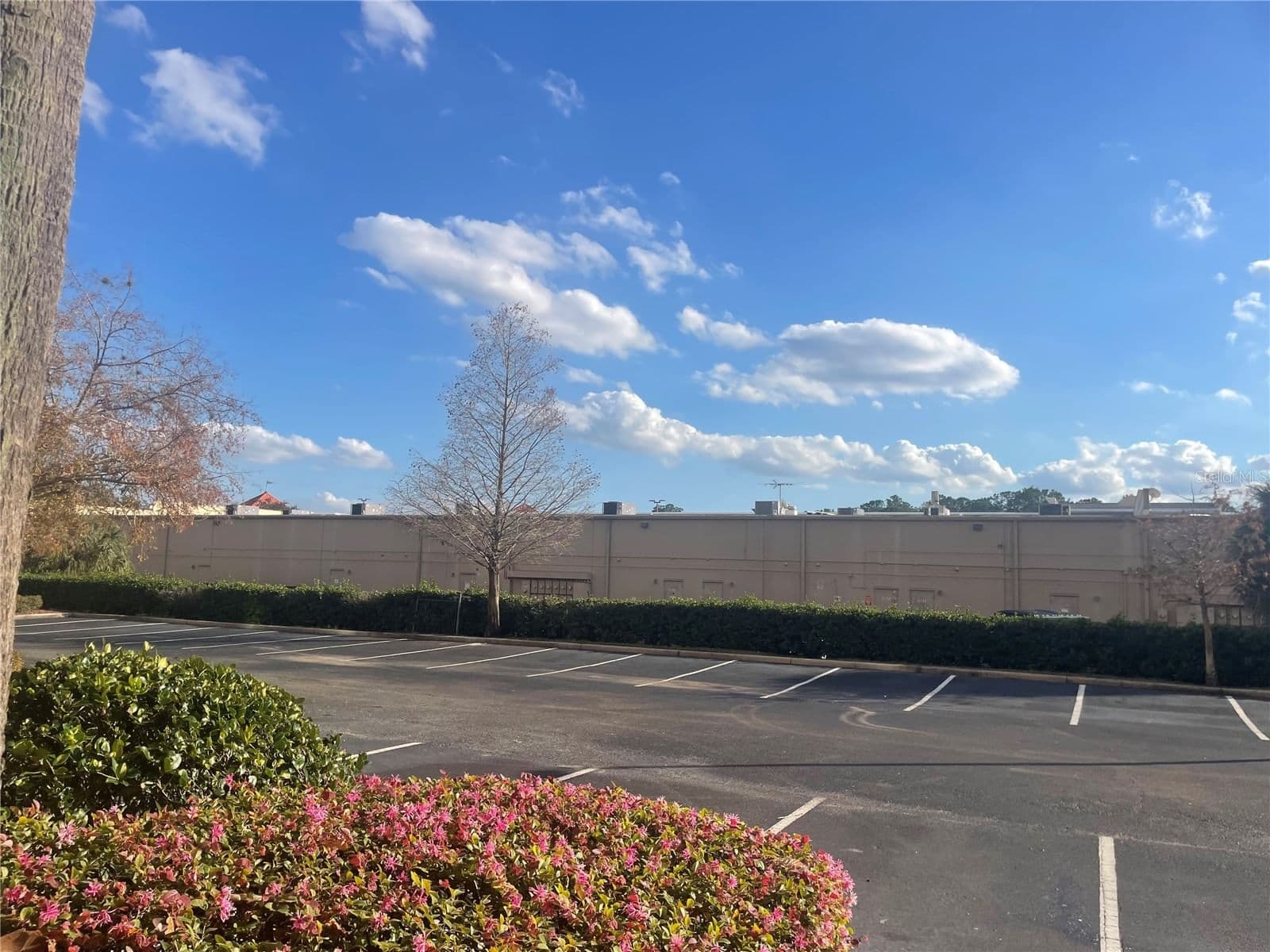 8112 POINCIANA Boulevard #1509 5