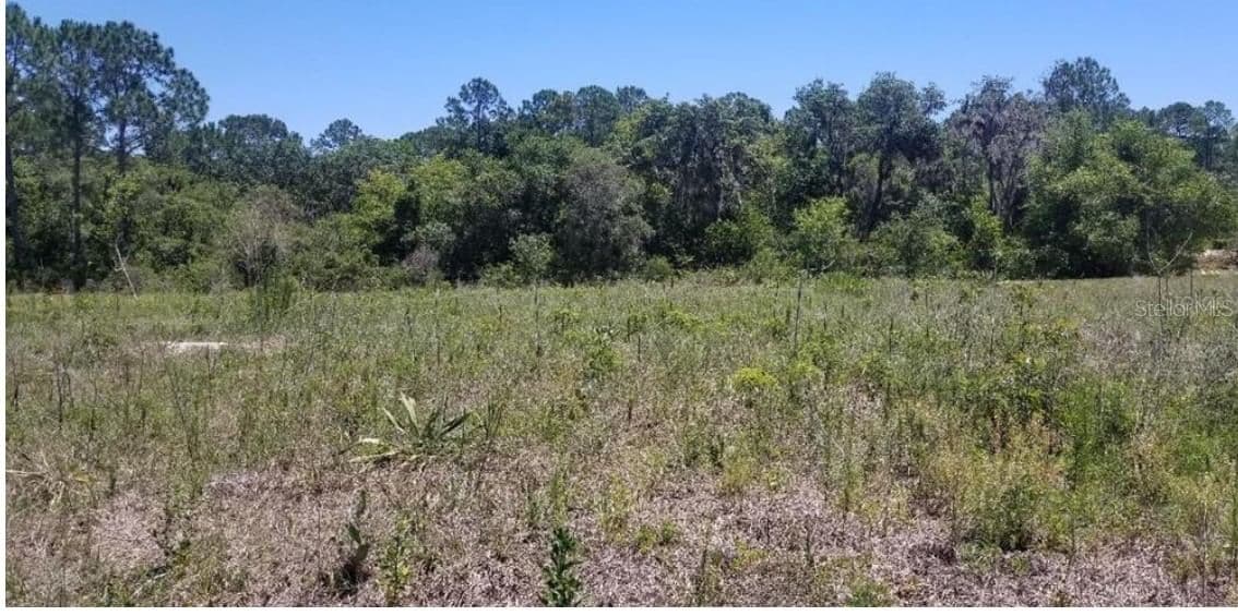 316 BASS, Kissimmee, FL 34759