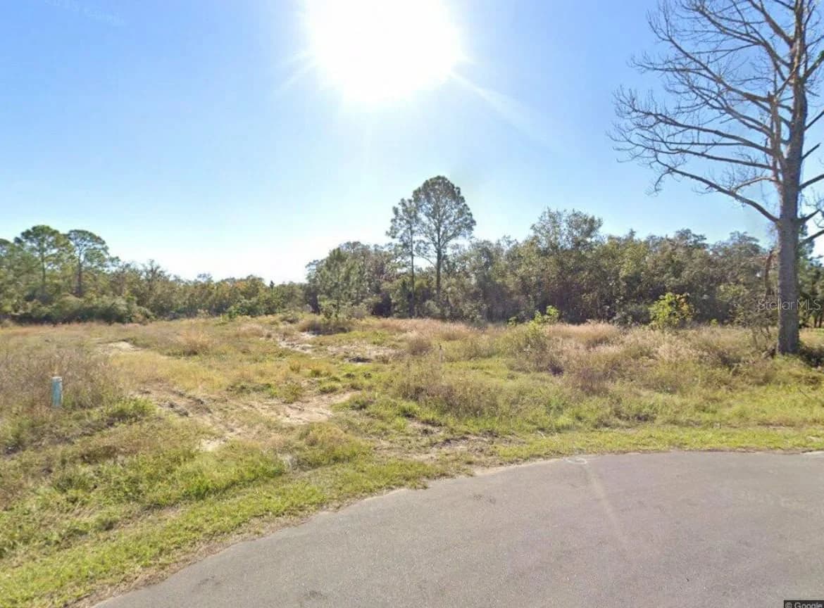 316 BASS, Kissimmee, FL 34759 2
