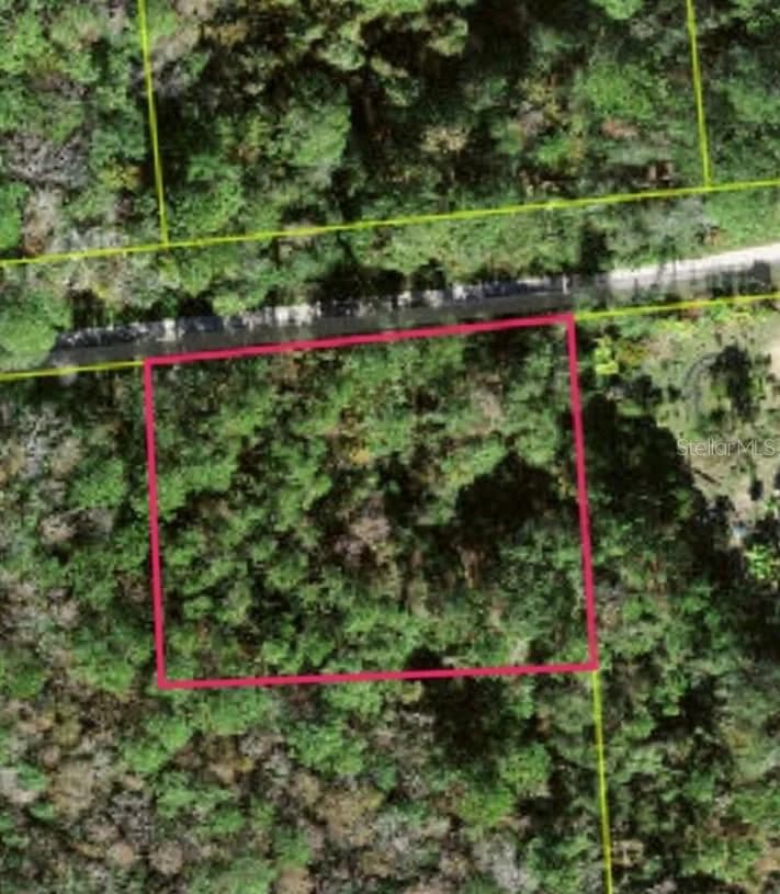 Lot 48 AMELIA, Kissimmee, FL 34747