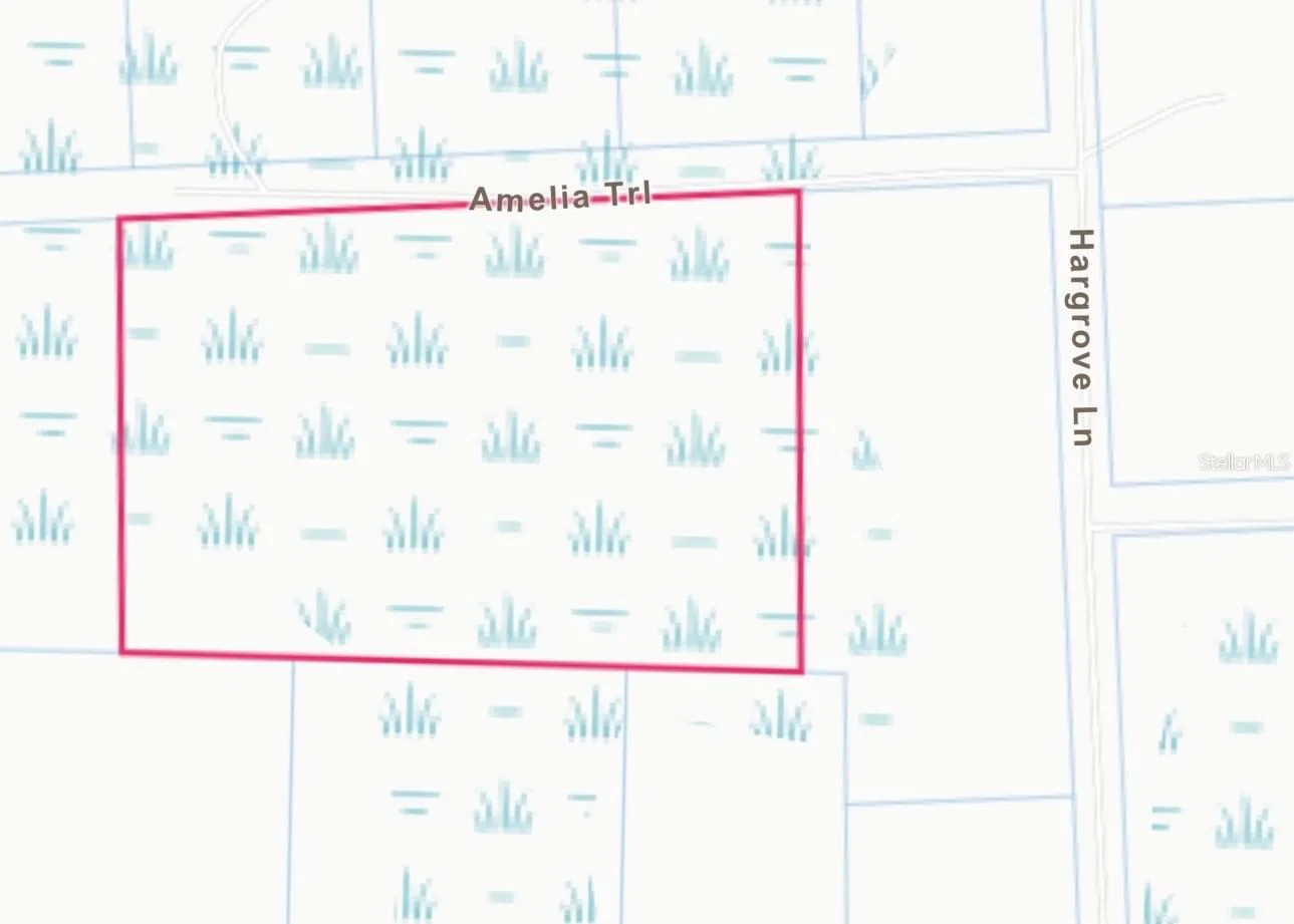 Lot 48 AMELIA, Kissimmee, FL 34747 2