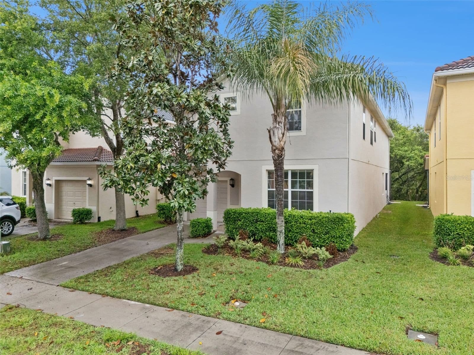 8965 CUBAN PALM 4