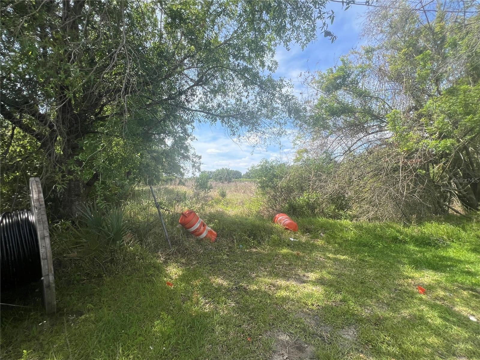 0 REE, Kissimmee, FL 34741 2