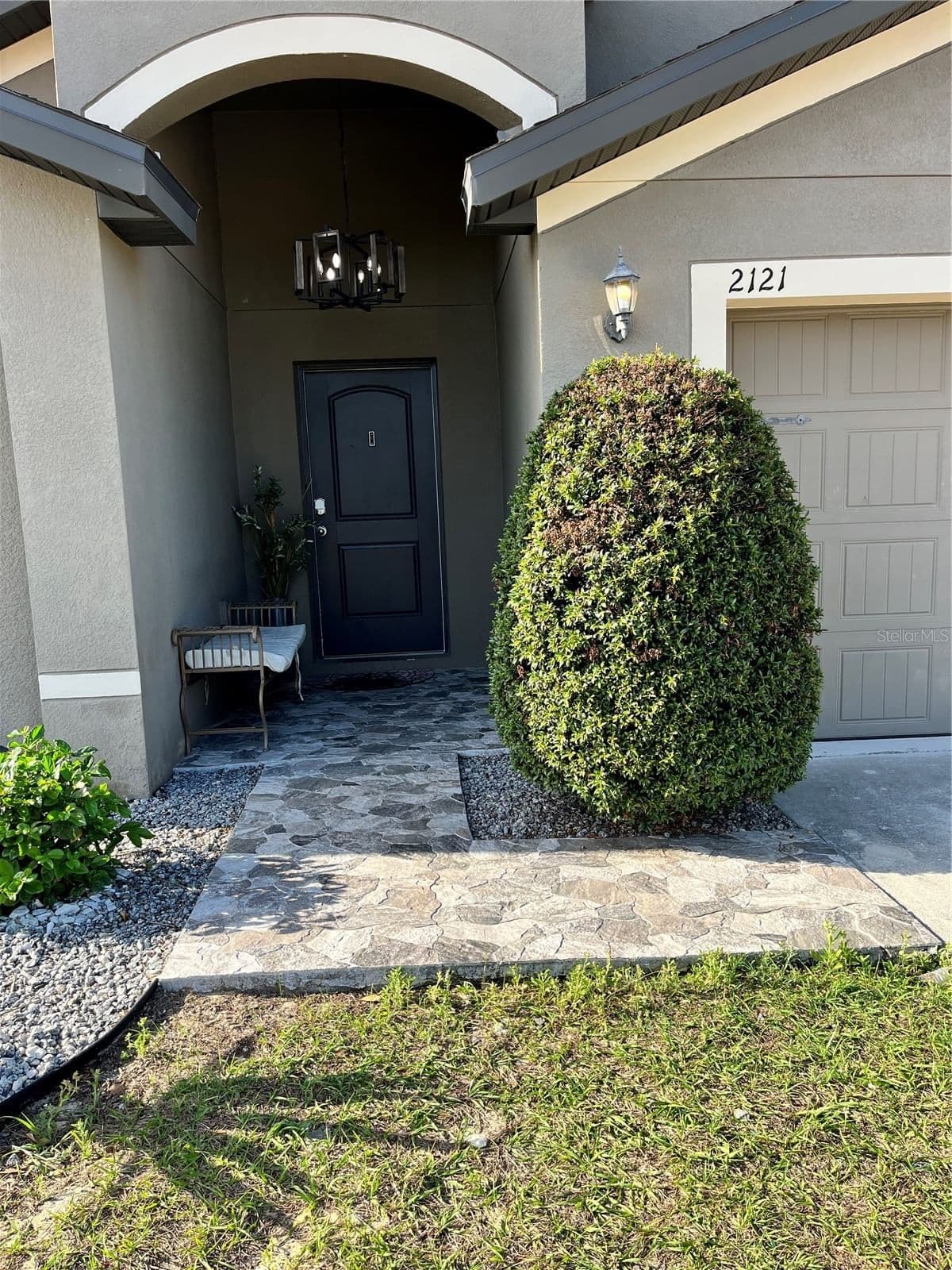 2121 HIBISCUS 2