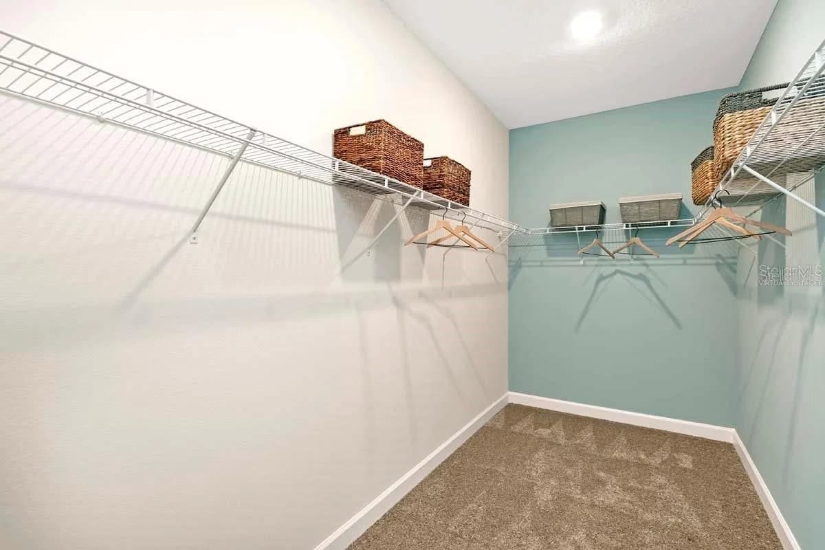 2519 PEACE OF MIND 5