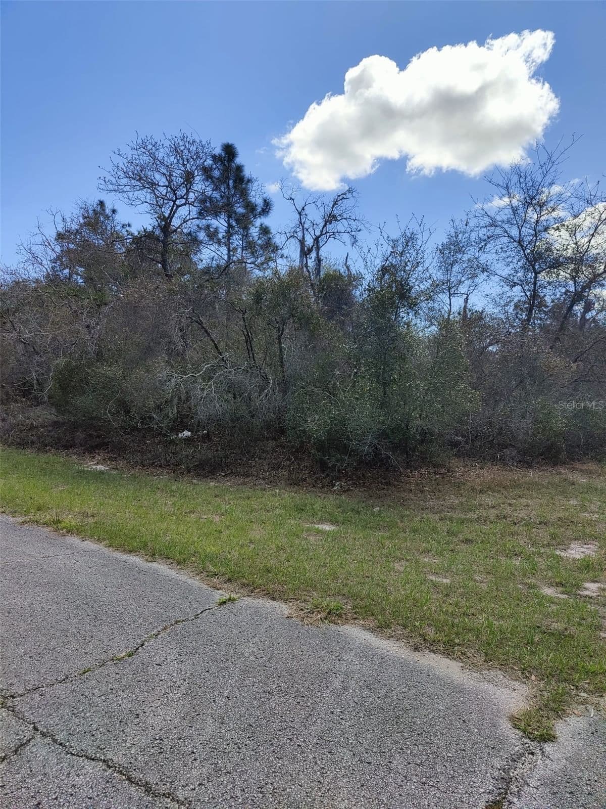408 VERNON, Kissimmee, FL 34759