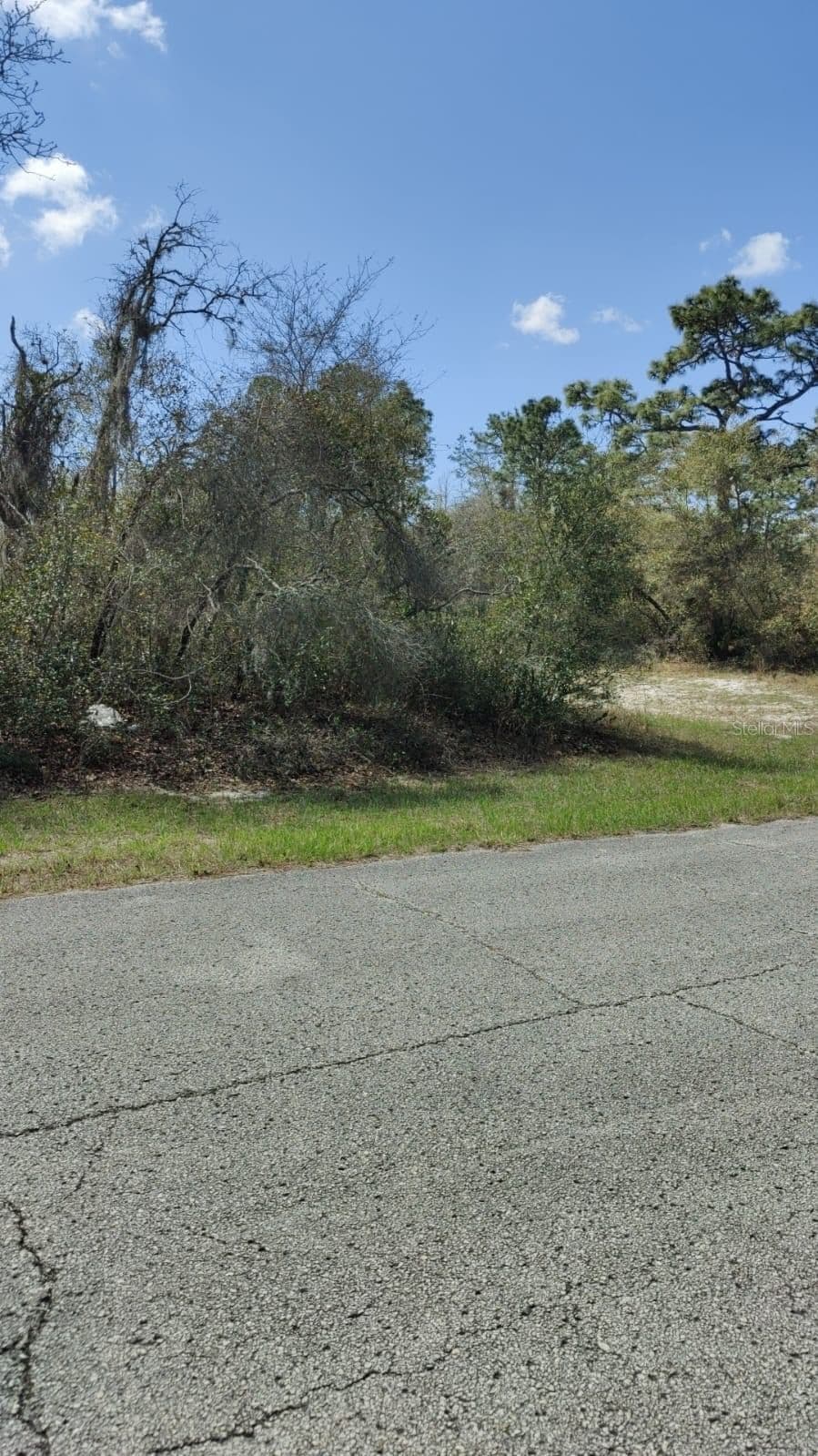 408 VERNON, Kissimmee, FL 34759 2