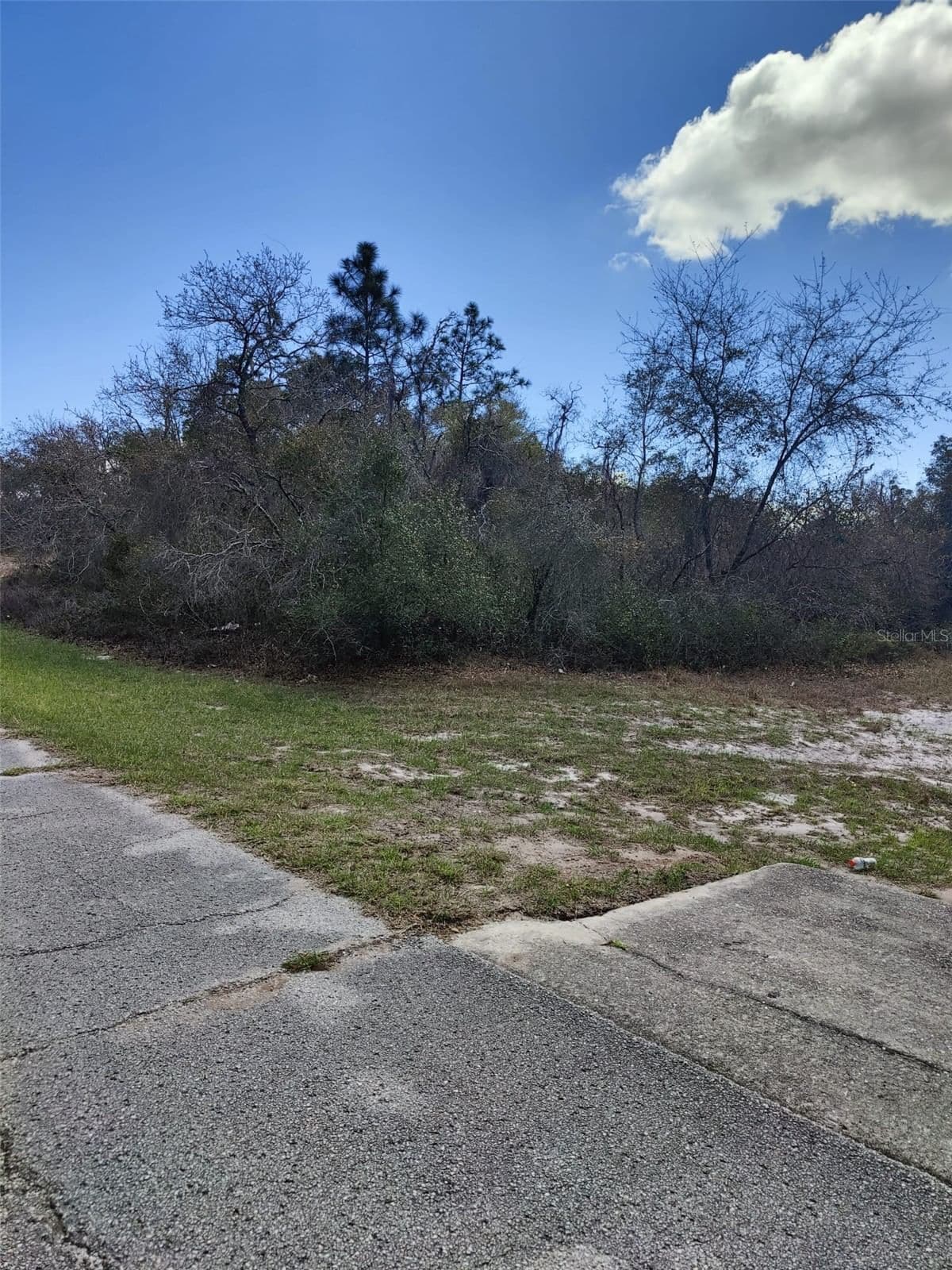 408 VERNON, Kissimmee, FL 34759 3