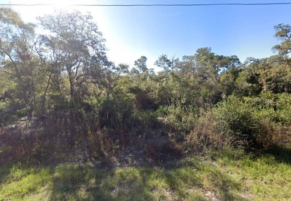 441 VERNON, Kissimmee, FL 34759