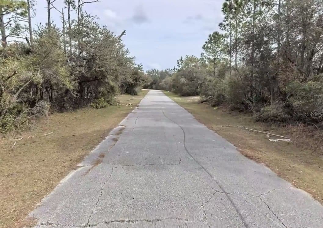 441 VERNON, Kissimmee, FL 34759 2