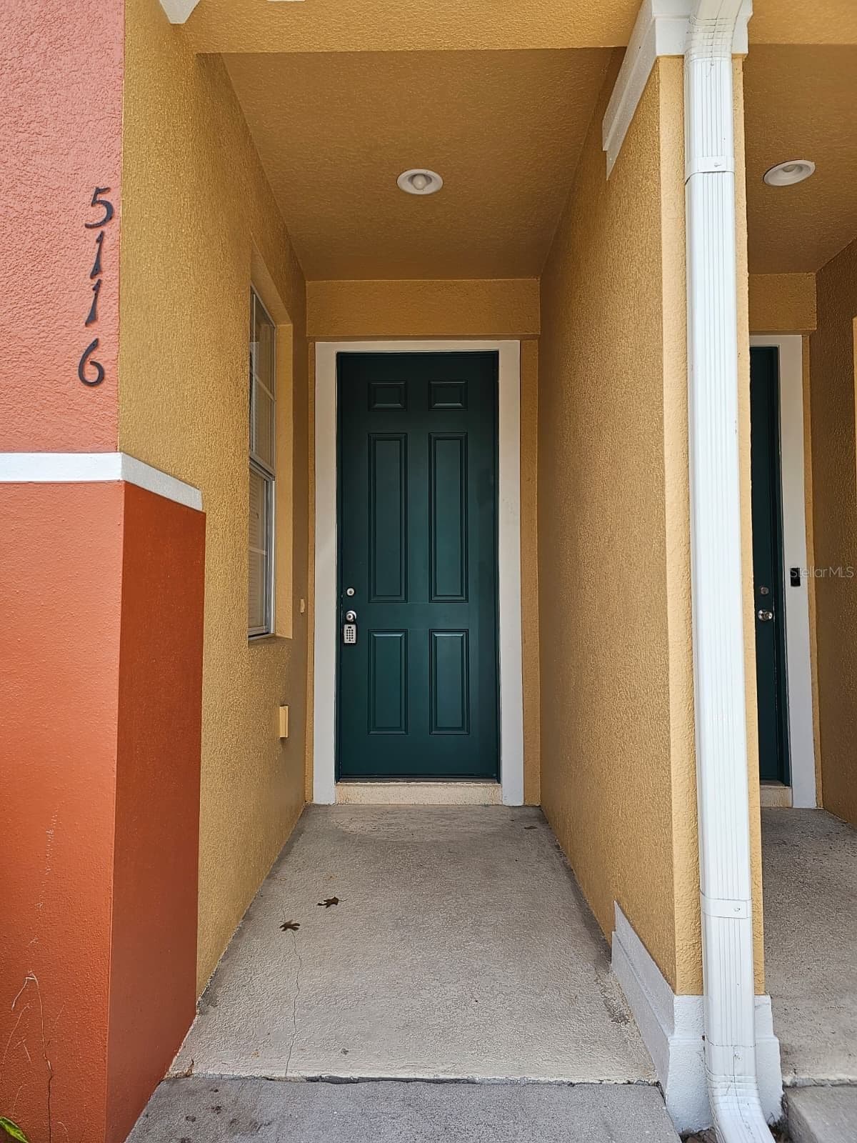 5116 DOMINICA 2