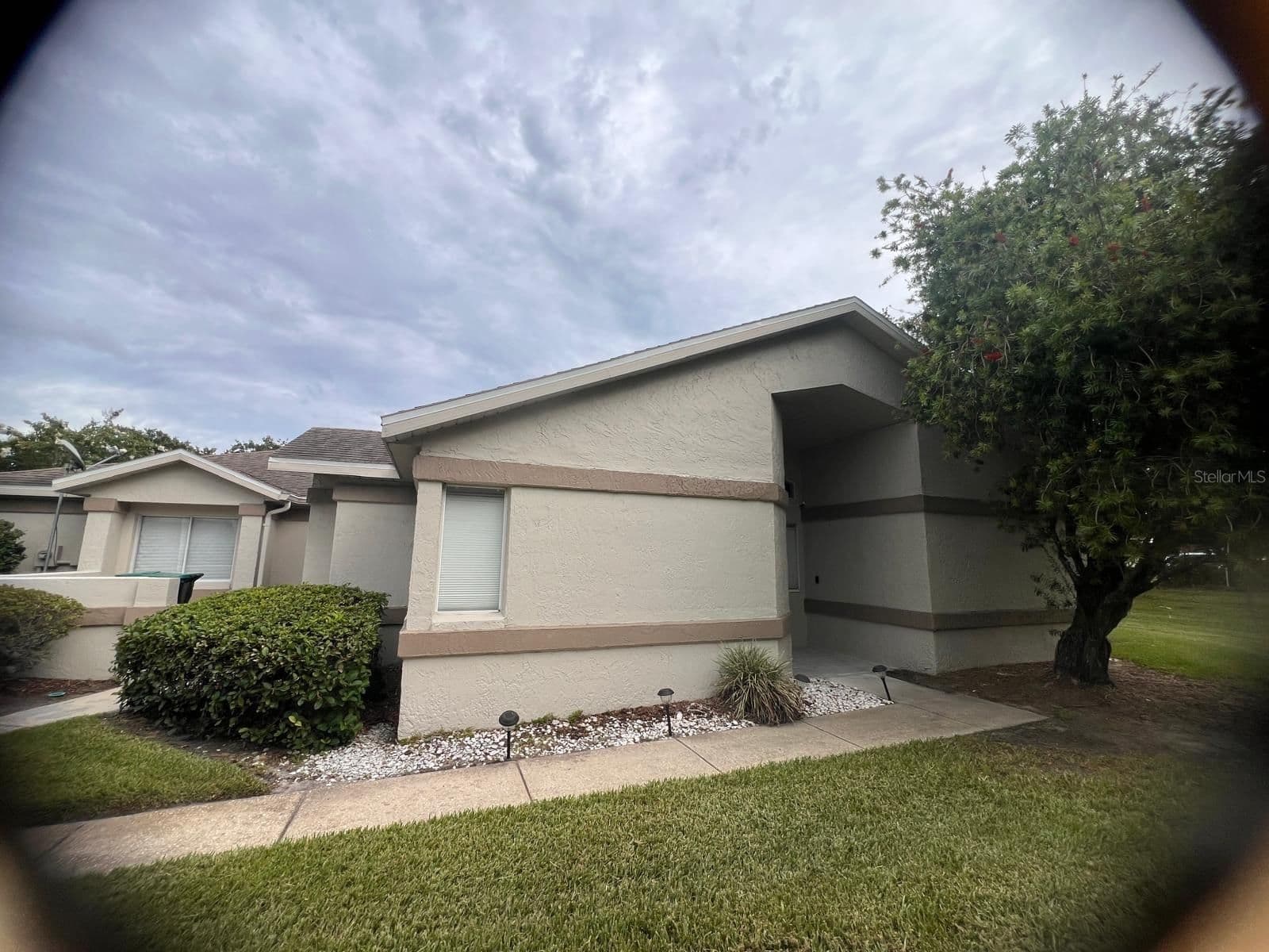 535 AZINGER 4