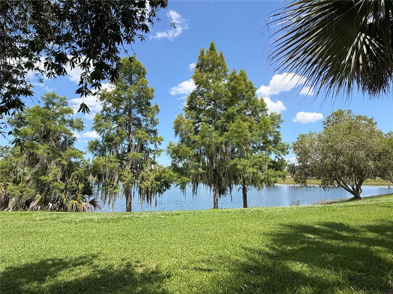 2316 PALM TREE DRIVE 3