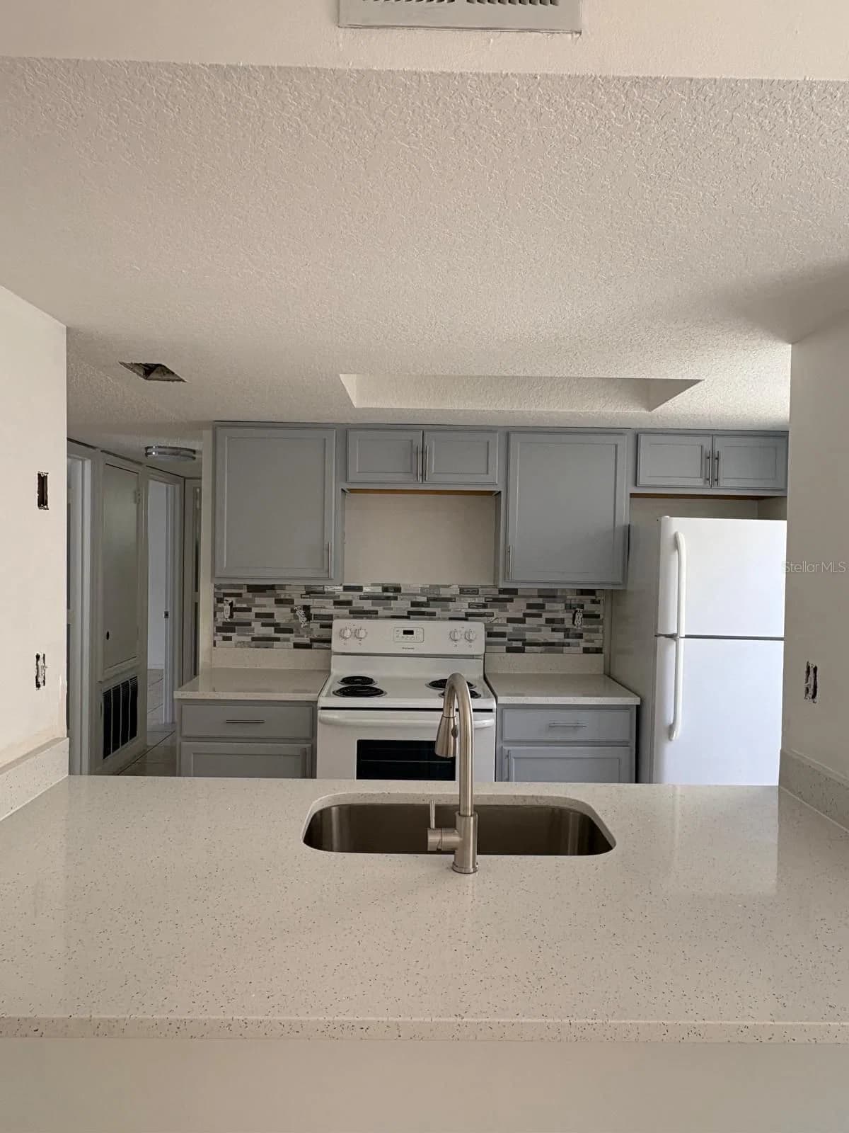 2803 FOX SQUIRREL 5