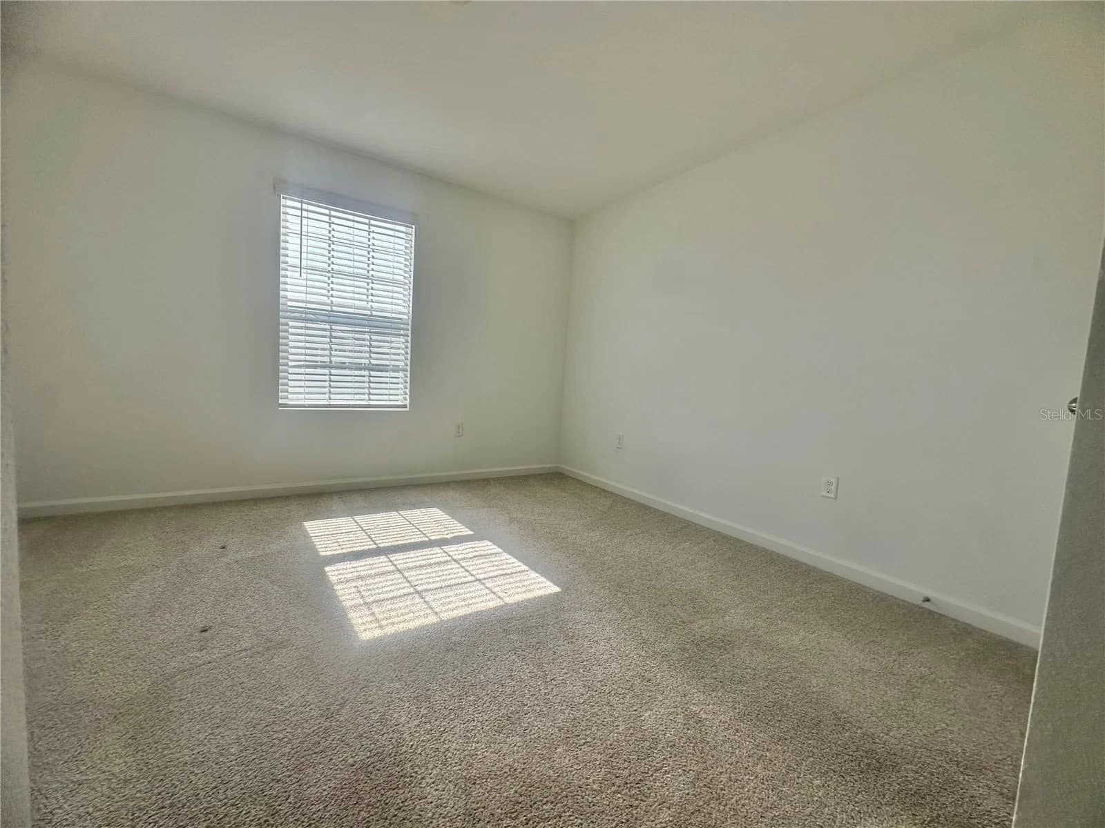 1162 SEASIDE MIST 2