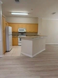 3707 CONROY, Orlando, FL 32839 2