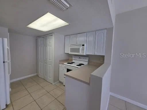 2419 FAN PALM 2