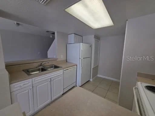 2419 FAN PALM 3