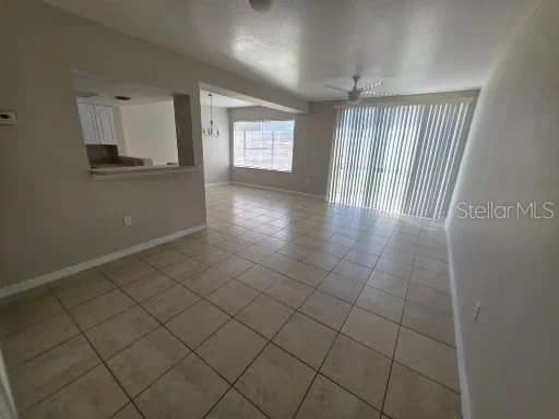 2419 FAN PALM 5