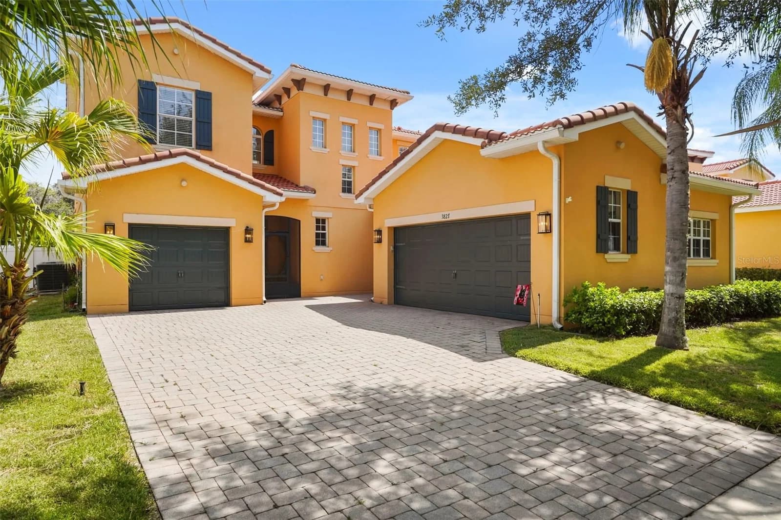 3827 GOLDEN KNOT 2