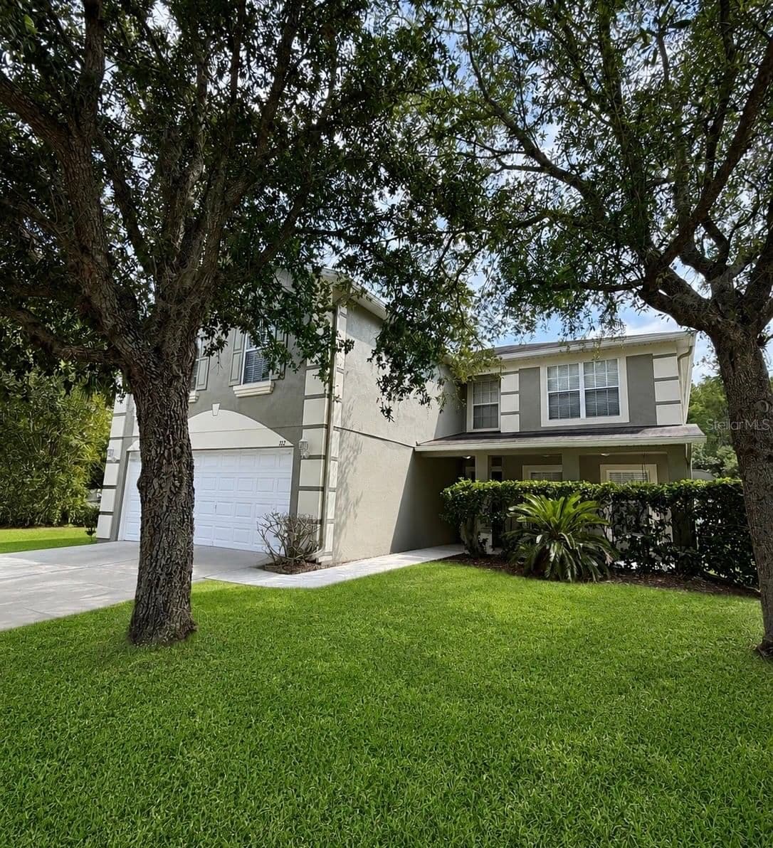 312 WINDROSE 4